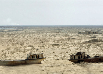 El Gobierno de Uzbekistán ha adoptado recientemente un Programa Nacional a gran escala, que contempla decenas de proyectos por valor de 1.500 millones de dólares.