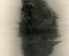 Exposición de Masao Yamamoto en Llucmajor (Mallorca)
