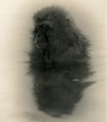 Exposición de Masao Yamamoto en Llucmajor (Mallorca)