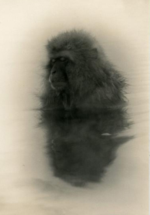 Exposición de Masao Yamamoto en Llucmajor (Mallorca)