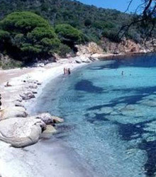 Quintas jornadas ruta de seda en mujer en las culturas del Mediterráneo