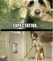 El Instituto Francés analiza el poder de los memes en la actualidad