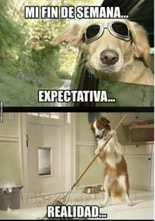 El Instituto Francés analiza el poder de los memes en la actualidad