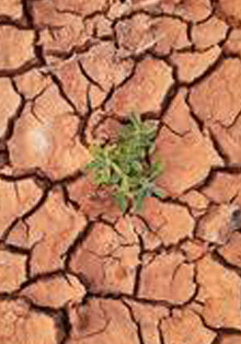 Mesa redonda en el Instituto Francés sobre el cambio climático