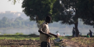 La UE aportará hasta cinco millones a un programa español de riego sostenible en Níger