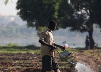 El Gobierno ratifica el Marco de Asociación País 2023-2027 entre España y Níger
