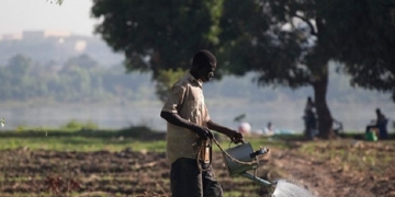 El Gobierno ratifica el Marco de Asociación País 2023-2027 entre España y Níger