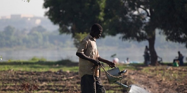 El Gobierno ratifica el Marco de Asociación País 2023-2027 entre España y Níger
