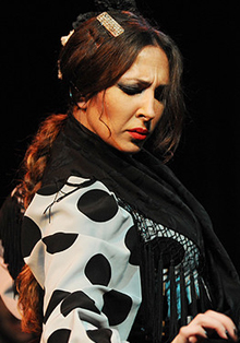 La Fundación Excelentia propone una ‘Noche de Tablao Flamenco’