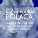 ‘Decíamos mañana’. Nueva poesía polaca en la Casa del Lector de Madrid