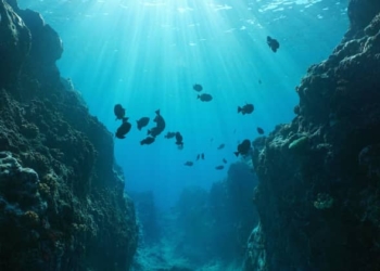 En la actualidad, el turismo representa el 40% de la economía azul, la mayor cuota en el valor de las exportaciones./ Foto: OMT