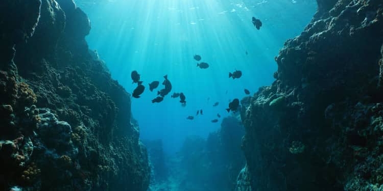 En la actualidad, el turismo representa el 40% de la economía azul, la mayor cuota en el valor de las exportaciones./ Foto: OMT