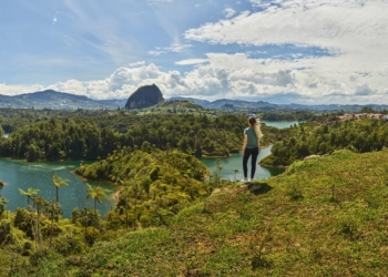 Los ganadores tendrán acceso a un curso en inglés y en formato digital de la UNWTO Tourism Online Academy. Foto: OMT