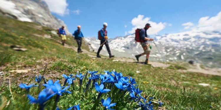 Un informe de la OMT destaca el potencial del turismo para las comunidades de montaña