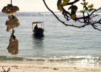 La ONU subraya la importancia del turismo para la recuperación económica