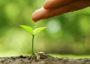 Bruselas participará en una iniciativa de I+D+i en el Mediterráneo impulsada por España