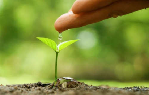 Bruselas participará en una iniciativa de I+D+i en el Mediterráneo impulsada por España