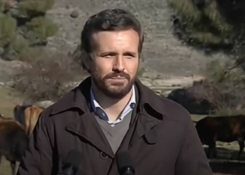 El presidente del PP visitó el viernes una explotación ganadera intensiva en Las Navas del Marques./ Imagen: YouTube