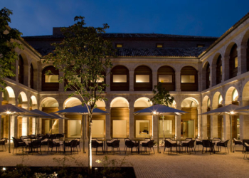 Las cigüeñas ‘youtubers’