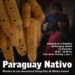 Cine documental etnográfico de Mónica Ismael, ‘Paraguay Nativo’