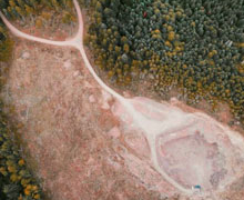 Pérdida de biodiversidad y emergencia de nuevas pandemias