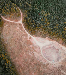 Pérdida de biodiversidad y emergencia de nuevas pandemias