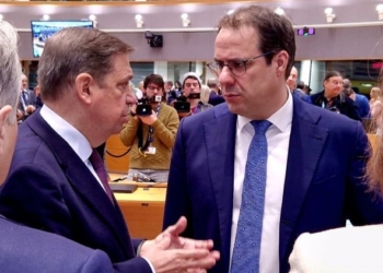 Planas asegura que Bruselas ha asumido las propuestas españolas para simplificar la PAC