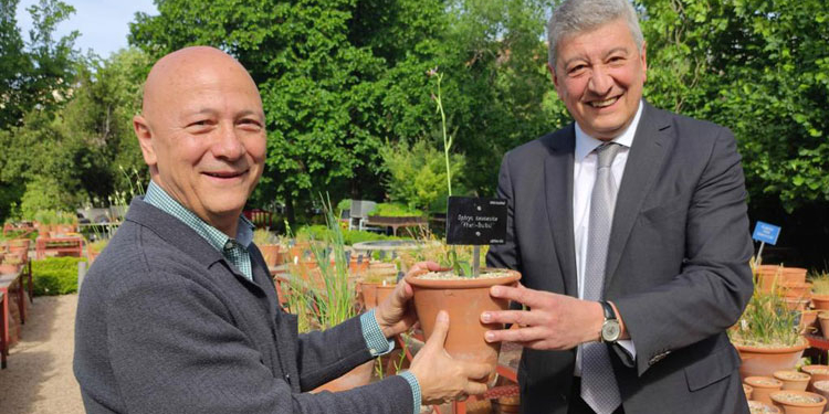 Azerbaiyán regala la flor ‘Khari Bulbul’ de Karabaj al Real Jardín Botánico