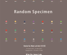 Ciencia en la muestra ‘Random Specimen’, en el Centro Cultural Coreano