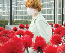 Reapertura del Cine Estudio del Círculo con estrenos y seguridad