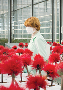 Reapertura del Cine Estudio del Círculo con estrenos y seguridad