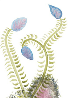 Casa de México muestra los remedios milenarios del Códice Badiano