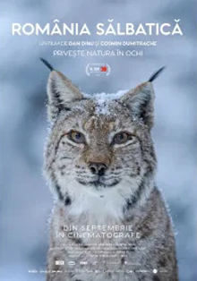 Exposición fotográfica y proyección del documental ‘Rumanía salvaje’