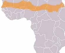 Casa África convoca la 10ª Reunión de enviados especiales para el Sahel