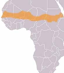 Casa África convoca la 10ª Reunión de enviados especiales para el Sahel