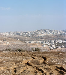 Casa Árabe presenta ‘Tadafuq / Fluir: artistas palestinos en movimiento’