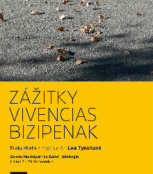 Borrell explicará en el Parlamento la posición de España en la crisis de Nicaragua