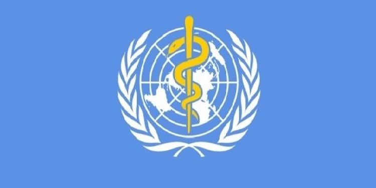 España aporta más de 33 millones a la lucha internacional por los DDHH, la paz y la salud