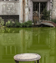 ‘Wa Habibi’, fotografías de Carole Alfarah en Casa Árabe