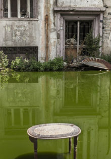 ‘Wa Habibi’, fotografías de Carole Alfarah en Casa Árabe