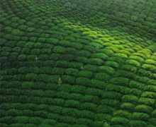 Exposición del pintor turco Yalçın Gökçebağ en Valencia