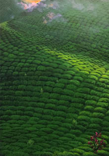 Exposición del pintor turco Yalçın Gökçebağ en Valencia