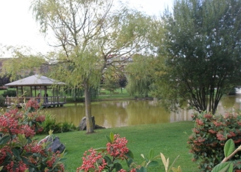 La Embajada nipona busca paisajes floridos de Navarra que recuerden a los de Japón