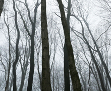 Exposición fotográfica ‘Zážitky/Vivencias’ en Santiago de Compostela