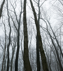 Exposición fotográfica ‘Zážitky/Vivencias’ en Santiago de Compostela