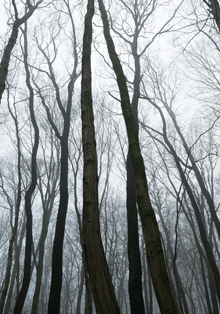 Exposición fotográfica ‘Zážitky/Vivencias’ en Santiago de Compostela