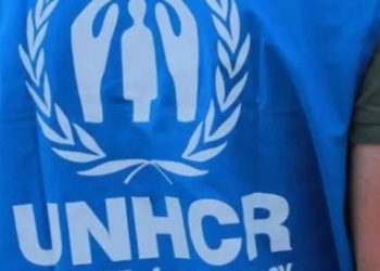 ACNUR colaborará con Interior en los procedimientos de protección internacional