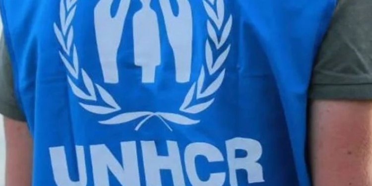 ACNUR colaborará con Interior en los procedimientos de protección internacional