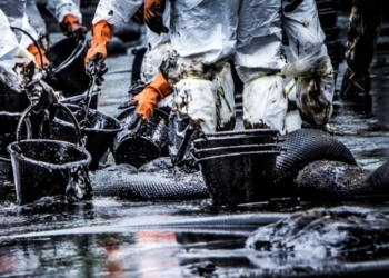 España se convierte en Estado parte del Acuerdo de Bonn para el Mar del Norte