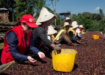 AECID inicia los trámites para recabar aportaciones externas al nuevo Estatuto del Cooperante